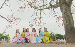 Sắc đỏ hoa gạo tháng Ba