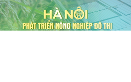 Phát triển nông nghiệp đô thị - Thay đổi tư duy trong kỷ nguyên mới