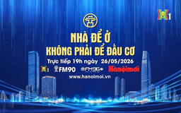 Đón xem chương trình thời sự ngày 26/5: 'Nhà để ở, không phải để đầu cơ'