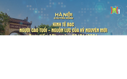 Đón xem 'Hà Nội chuyển động' ngày 23/6: Kinh tế Bạc: Người cao tuổi - Nguồn lực của kỷ nguyên mới
