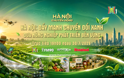 Đón xem 'Hà Nội chuyển động' ngày 30/7: 'Hà Nội: Đẩy mạnh chuyển đổi xanh - Đưa nông nghiệp phát triển bền vững'