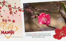 Mùa Tết trong tôi