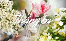 Hương sắc hoa tháng Ba Hà Nội