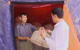 Giải quyết việc làm để nông dân thoát nghèo bền vững