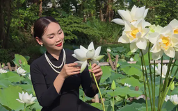 Sen trắng vào mùa