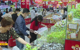 Giá cả thị trường dịp Tết ổn định