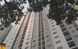 Giá nhà tăng nhiều người cân nhắc phương án về quê sống