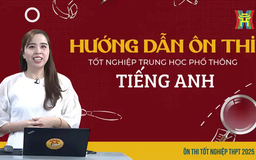 Ôn thi tiếng Anh: Phân tích dạng bài Đọc hiểu số 2 và Luyện tập