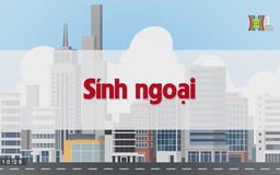 Sính ngoại | Chuyện quanh ta| tập 121| 02/09/2023