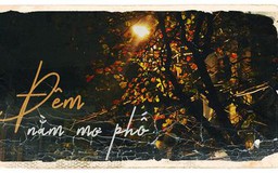 Đêm nằm mơ phố