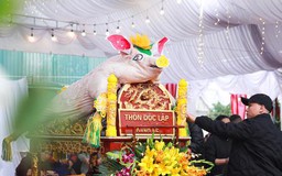 Độc đáo tục "trang điểm" cho "ông lợn" ở La Phù