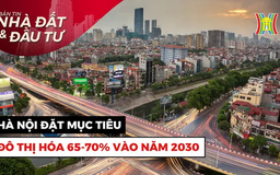 Bản tin Nhà đất và đầu tư | 03/02/2025