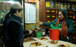Nhịp sống trên phố thuốc Đông y