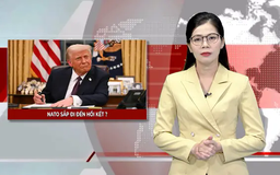 NATO sắp đi đến hồi kết? | Nhìn ra thế giới | 03/03/2025