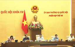 UBTV Quốc hội cho ý kiến 32 dự thảo luật, nghị quyết