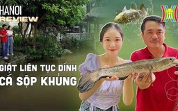 Trải nghiệm câu cá chuyên nghiệp | HANOI Reviews | 03/09/2023