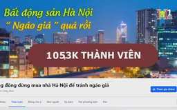 Làn sóng rủ nhau dừng mua nhà