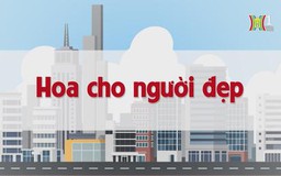 Hoa cho người đẹp | Chuyện quanh ta | tập 216 | 03/11/2023