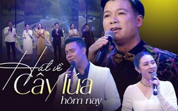 Hát về cây lúa hôm nay