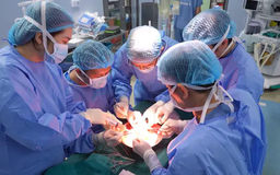 Nhiều bệnh nhân được ghép tạng trong kỳ nghỉ lễ