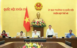 Tiếp thu, chỉnh lý Dự thảo Luật Hoá chất (sửa đổi)
