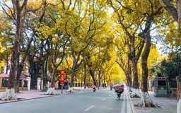 Thổn thức mùa thu Hà Nội