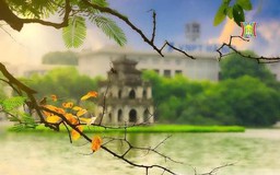 Sáng chớm lạnh trong lòng Hà Nội