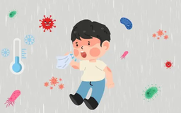 Ghi nhận ca tử vong đầu tiên do bệnh ho gà