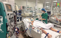 Nhiều ca mắc cúm chuyển nặng, phải đặt ECMO