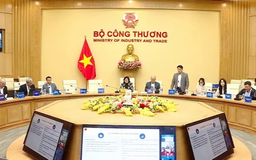 Hệ thống thương vụ nước ngoài đóng vai trò then chốt