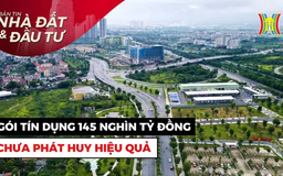 Bản tin Nhà đất và đầu tư | 05/03/2025