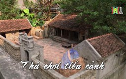 Thú chơi tiểu cảnh! Nhịp sống Hà Nội| 5/4/2024