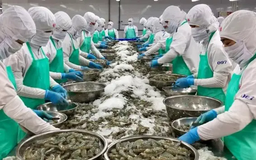VASEP đề xuất giảm thuế nhập khẩu thủy sản Mỹ về 0%