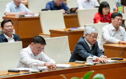 100% đại biểu tán thành sửa đổi Hiến pháp 2013