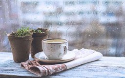 Cà phê Hà Nội một ngày mưa