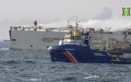 Số xe điện trên tàu Fremantle gấp 20 lần báo cáo