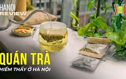 Quán trà hiếm thấy ở Hà Nội| HANOI Review| 05/10/2023