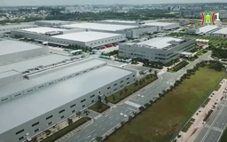 Hơn 10.000 doanh nghiệp thành lập mới trong tháng 1/2025