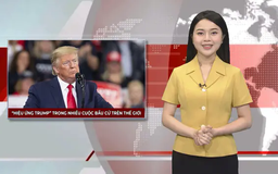 Nhiều cuộc bầu cử trên thế giới ảnh hưởng từ 'Hiệu ứng Trump' | Nhìn ra thế giới | 06/05/2025
