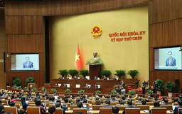 Nhiều vấn đề cần làm rõ trong Dự thảo Luật Nhà giáo