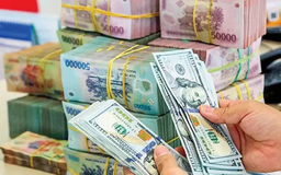 Mỹ đưa Việt Nam vào diện giám sát chính sách ngoại hối