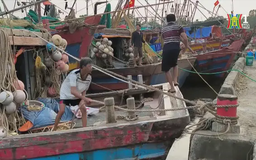Các tỉnh ven biển đồng loạt cấm biển