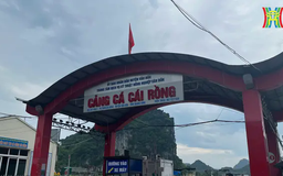 Công tác ứng phó bão Yagi tại tỉnh tâm bão Quảng Ninh