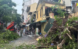 Hà Nội mưa lớn, cây gãy đổ khiến 1 người tử vong