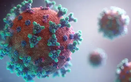 Ấn Độ ghi nhận thêm hai ca nhiễm virus HMPV