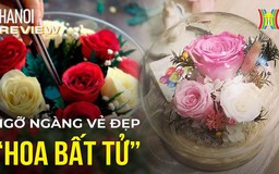 Ngỡ ngàng vẻ đẹp những bông hoa trở nên 'bất tử' | Hà Nội Reviews | 07/03/2024