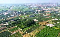 Hưng Yên: Đấu giá đất cao nhất 158 triệu đồng/m²