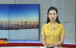 Chương trình Thời sự 11h30 | 07/05/2025