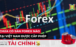 Bản tin Kinh tế Tài chính | 07/05/2024