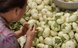Chớm hè muối cà bát